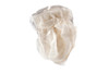 Gauze