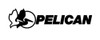 Pelican