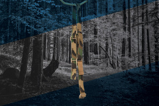 A Brief History of M81 Woodland Camouflage  A Brief History of M81 Woodland Camouflage