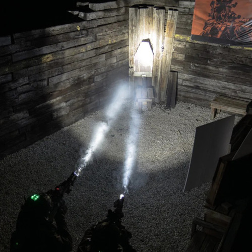 Cloud Defensive REIN Standard Kit mounted on rifle low-light tactical training