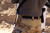 Low Rise M4 Belt Pouch
