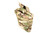 Medium Dump Pouch Medium Dump Pouch
