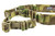 Multicam