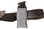 On Belt sample