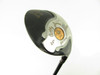 Bobby Jones by Jessie Ortiz H3 Hybrid 21 degree w/ Graphite Regular