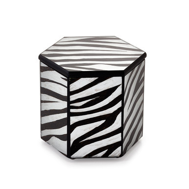 Zebra Canister