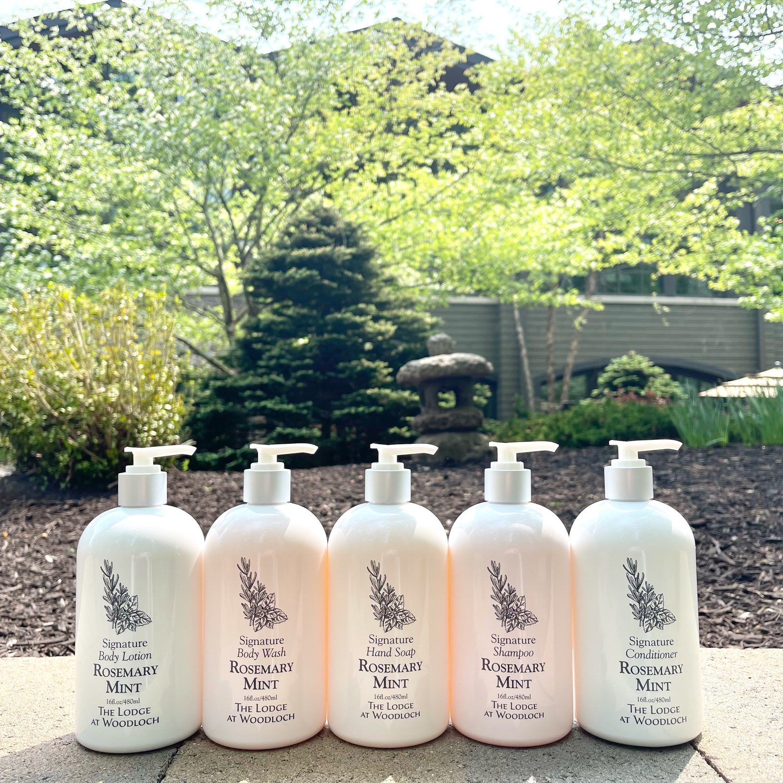 Body Bliss - Hand & Body Lotions