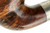 Misc. Estate Pipe GBD Petit Paris Beaumarchais (Early 1900's) E14038