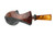 Buckeye Pipe Partial Blast Blowfish HM 25 PAC Signature Grade N14571