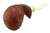 Emberling Pipe Fish N14692