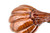 C-Pipe Pipe Smooth Budding Flower 3 N14854
