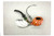 C-Pipe Pipe Smooth Budding Flower 3 N14854