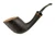 Papa Bear's Pipe Tulip Blast N14966