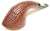Stanwell Estate Pipe Nordic 217 Blasted Horn