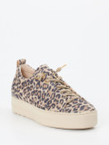 Paul Green – Sneaker aus Veloursleder mit Leoprint