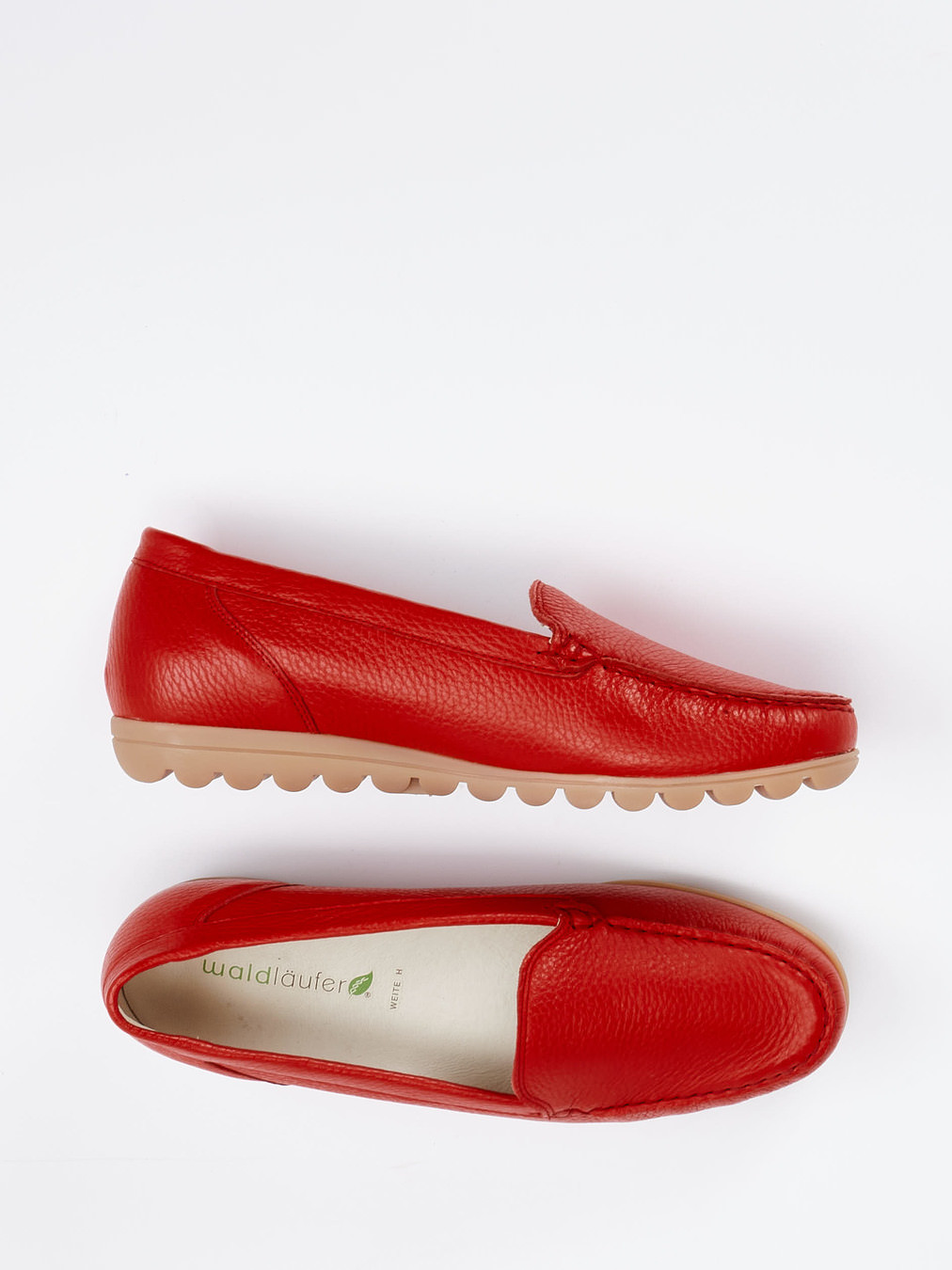 Slipper rot 2561559002004