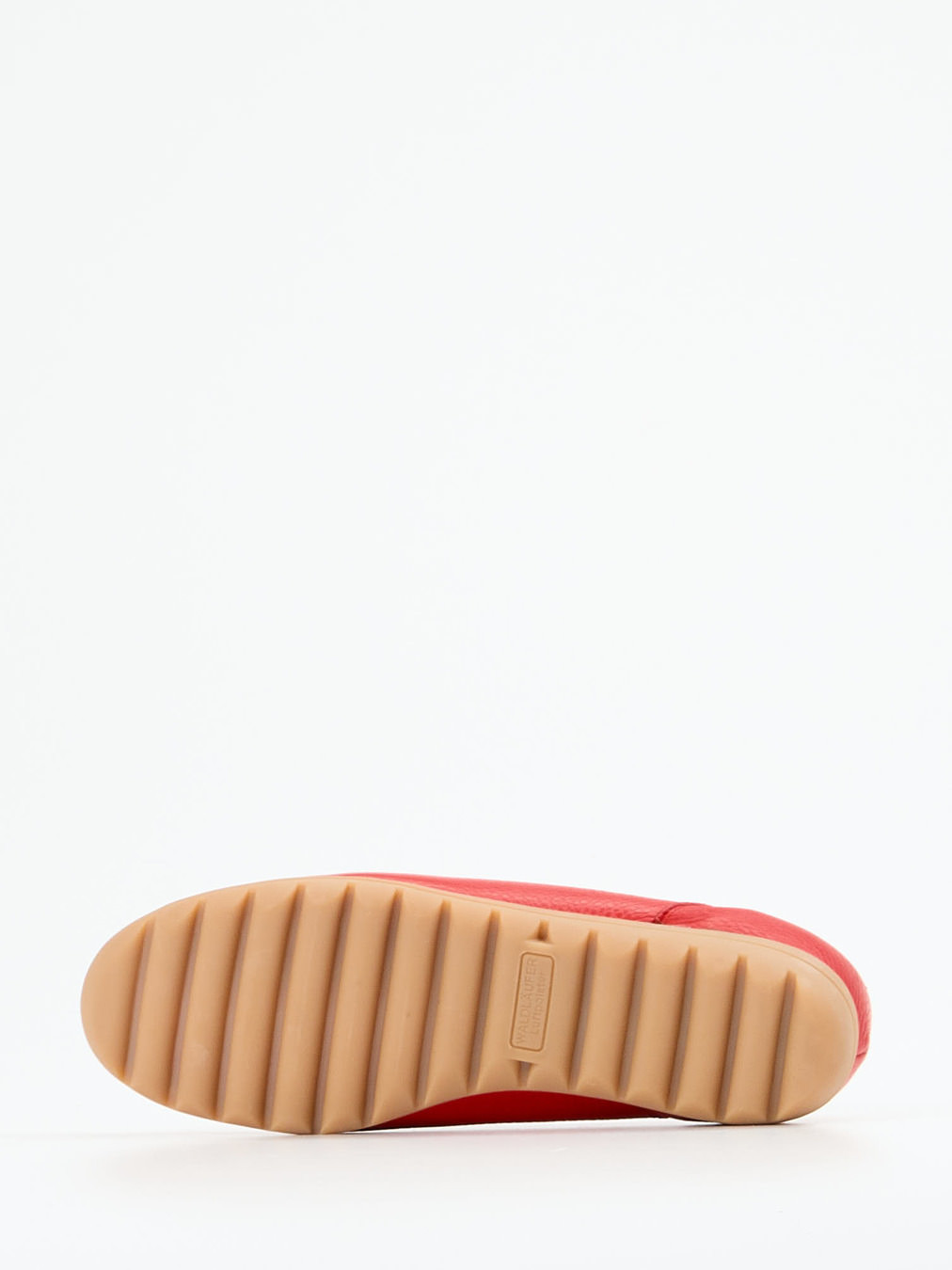 Slipper rot 2561559002005