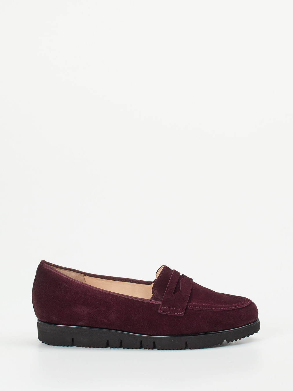 Slipper rot 2561509000801