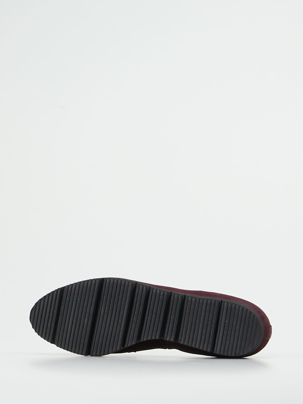 Slipper rot 2561509000805