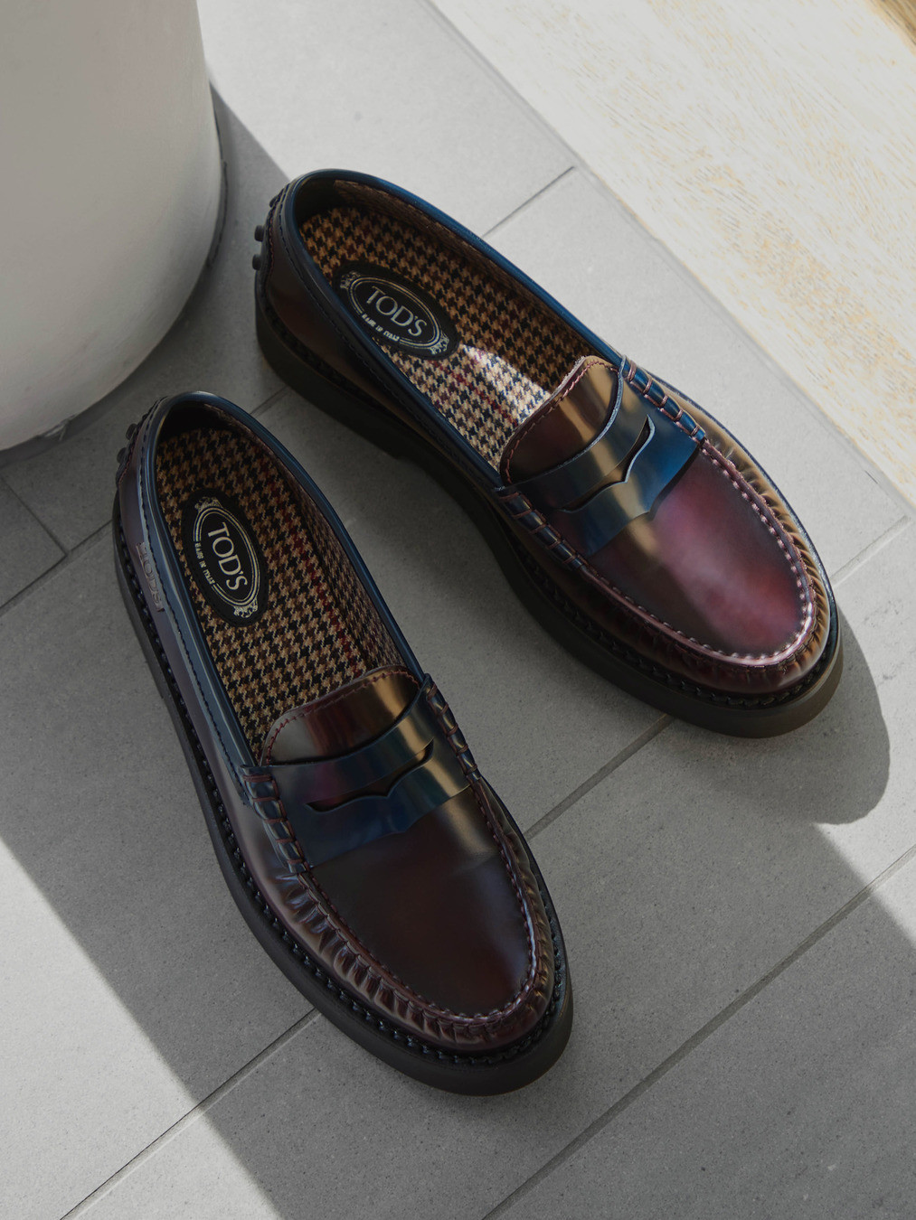 Slipper rot 1513509000802