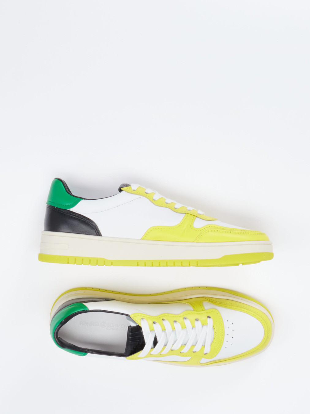 Sneaker multi 1663979003304