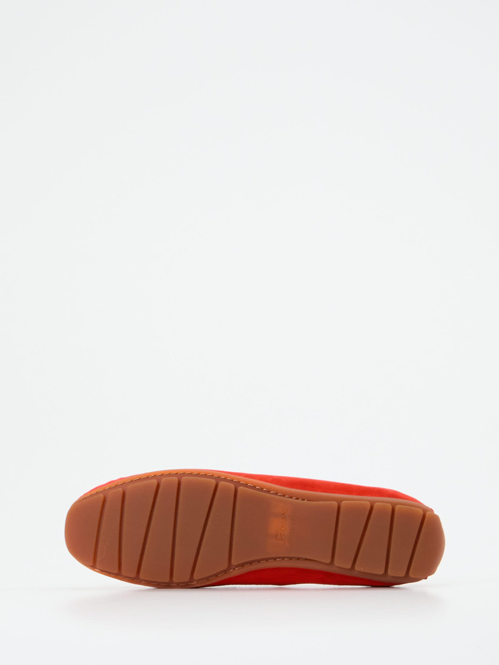 Slipper rot 2561559002105