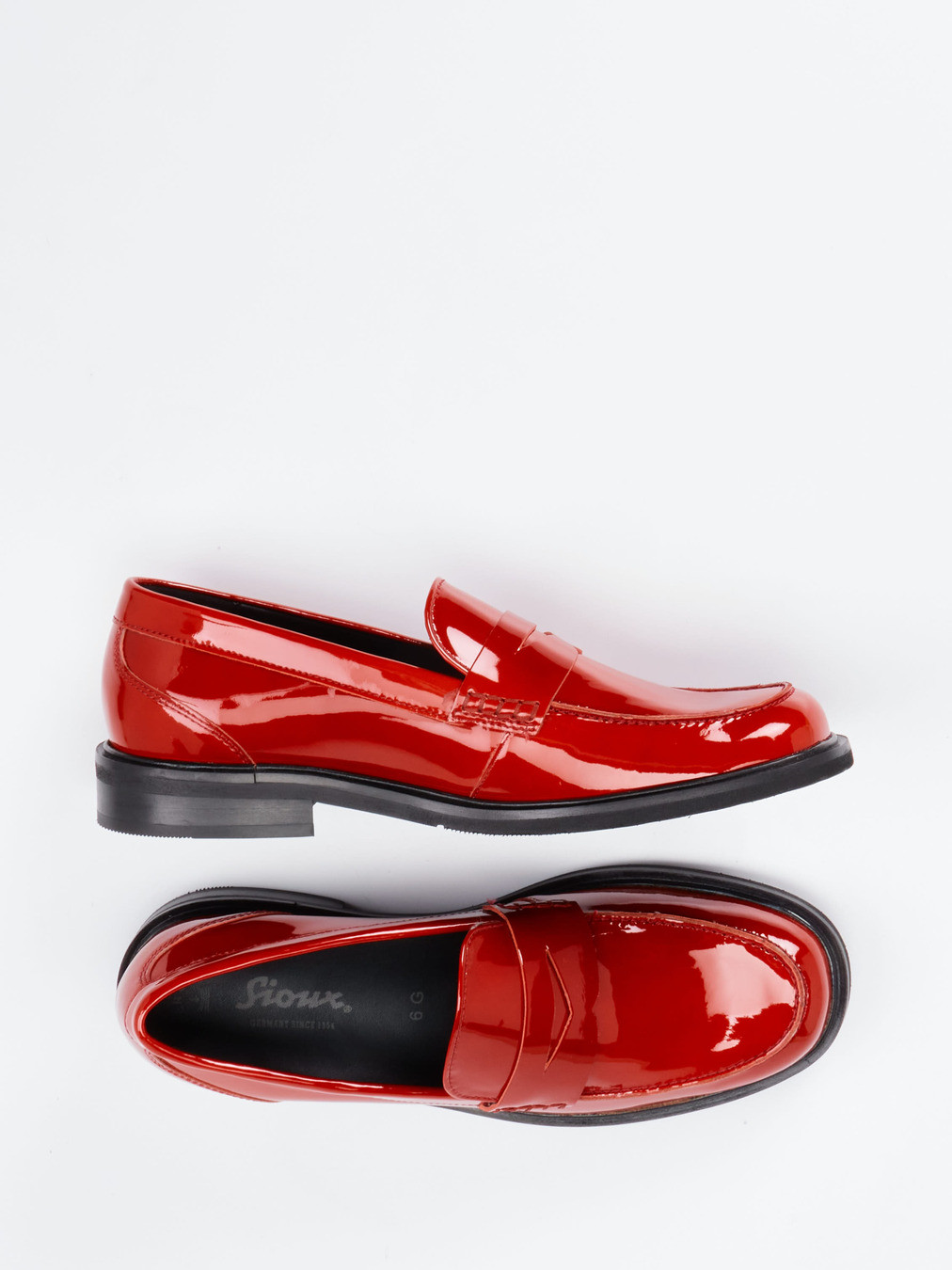 Slipper rot 2501559000404