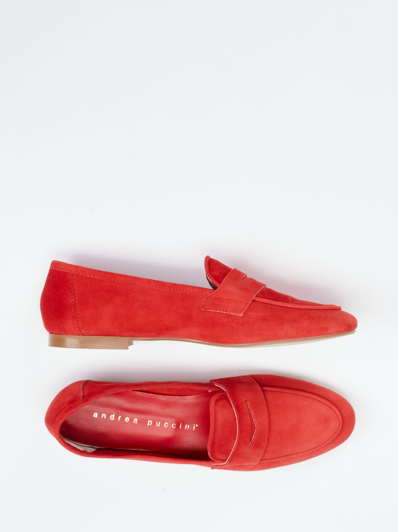 Slipper rot 1511559003004