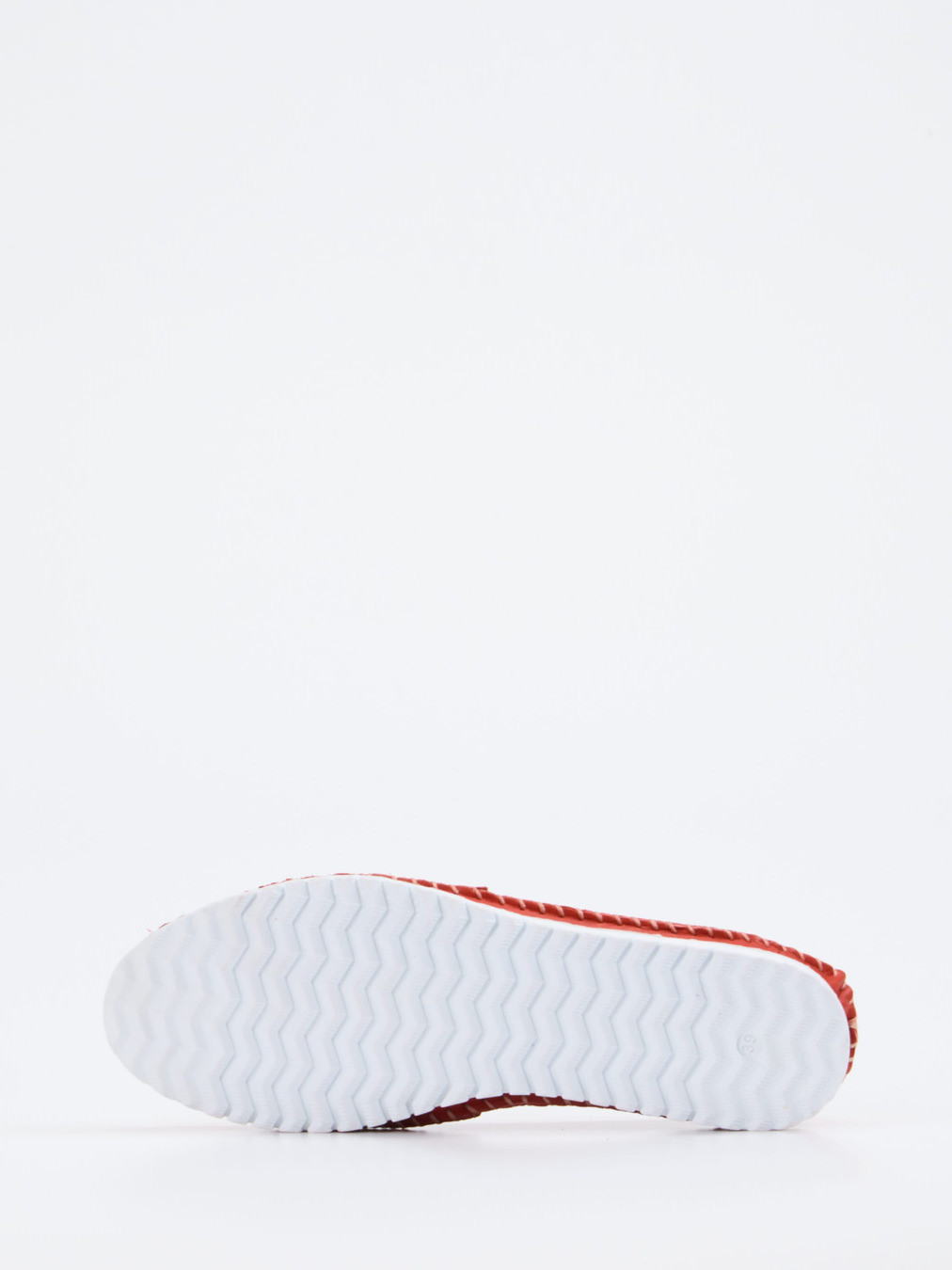 Slipper rot 2511559001305