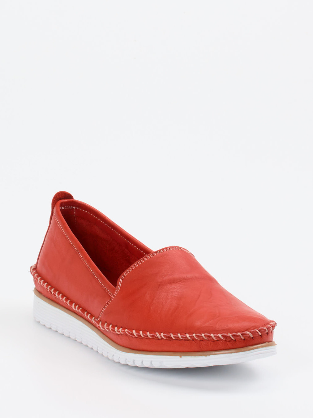 Slipper rot 2511559001306