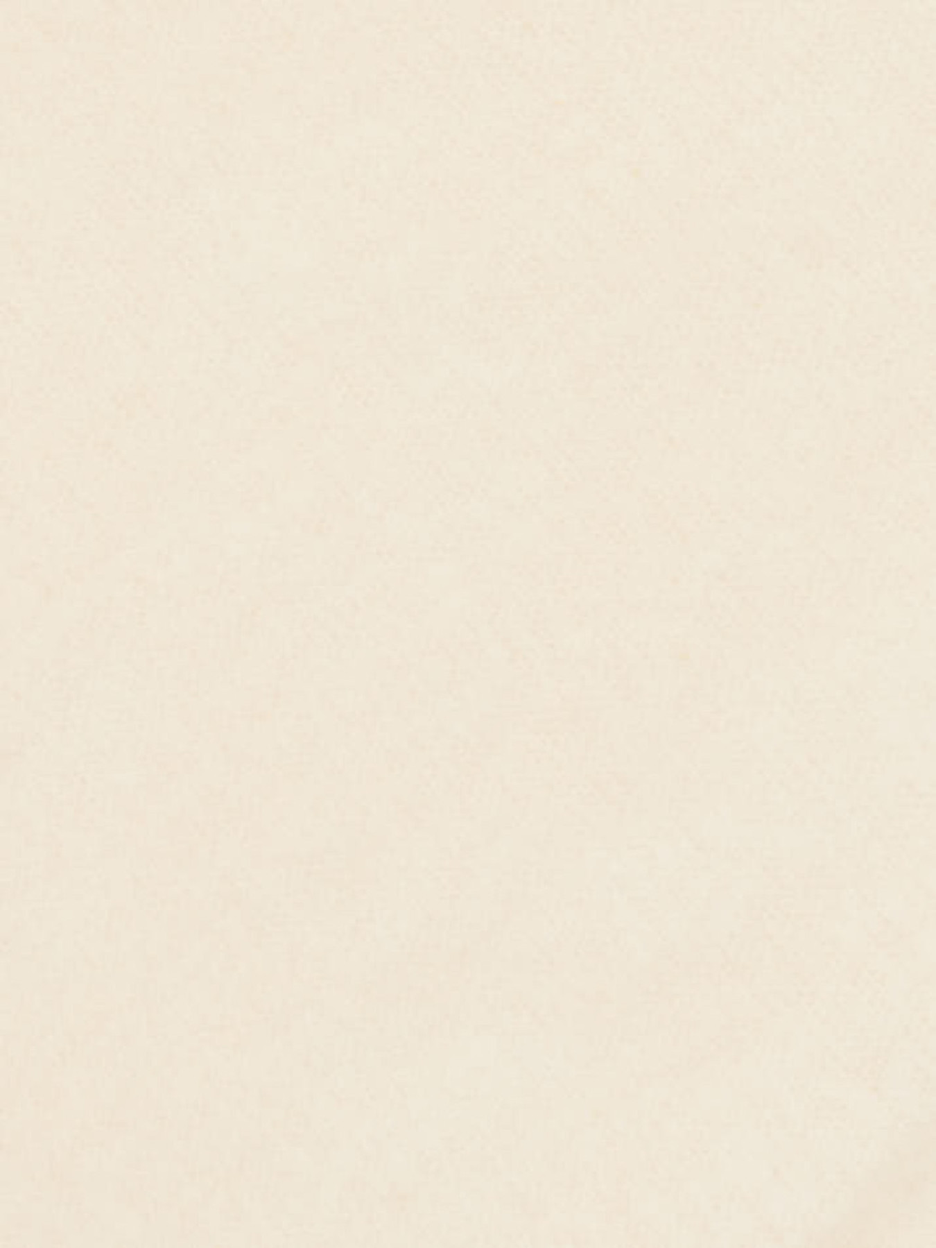 Dreieckstuch aus reinem Cashmere beige 9321379000402