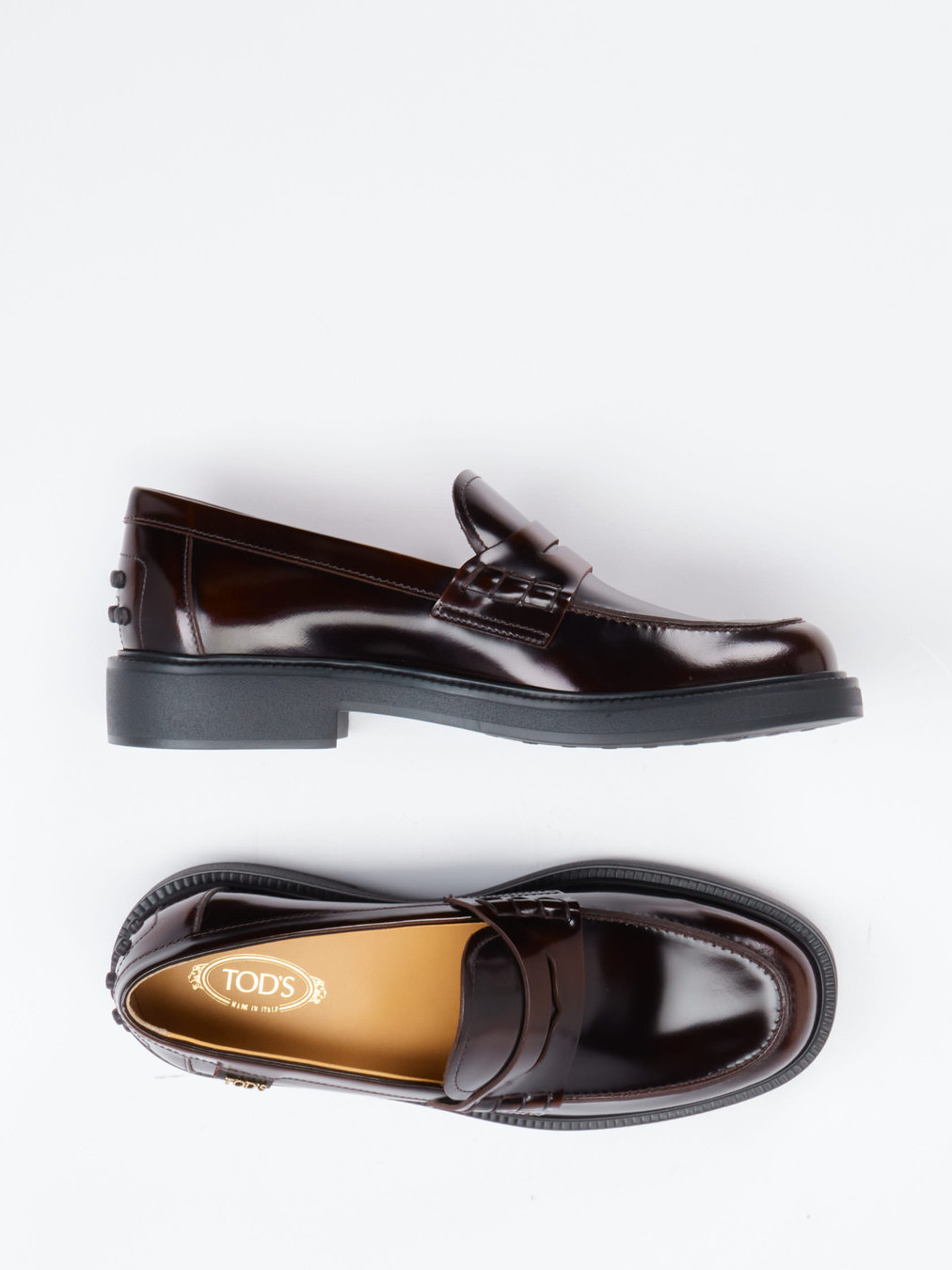 Slipper rot 1513509001204