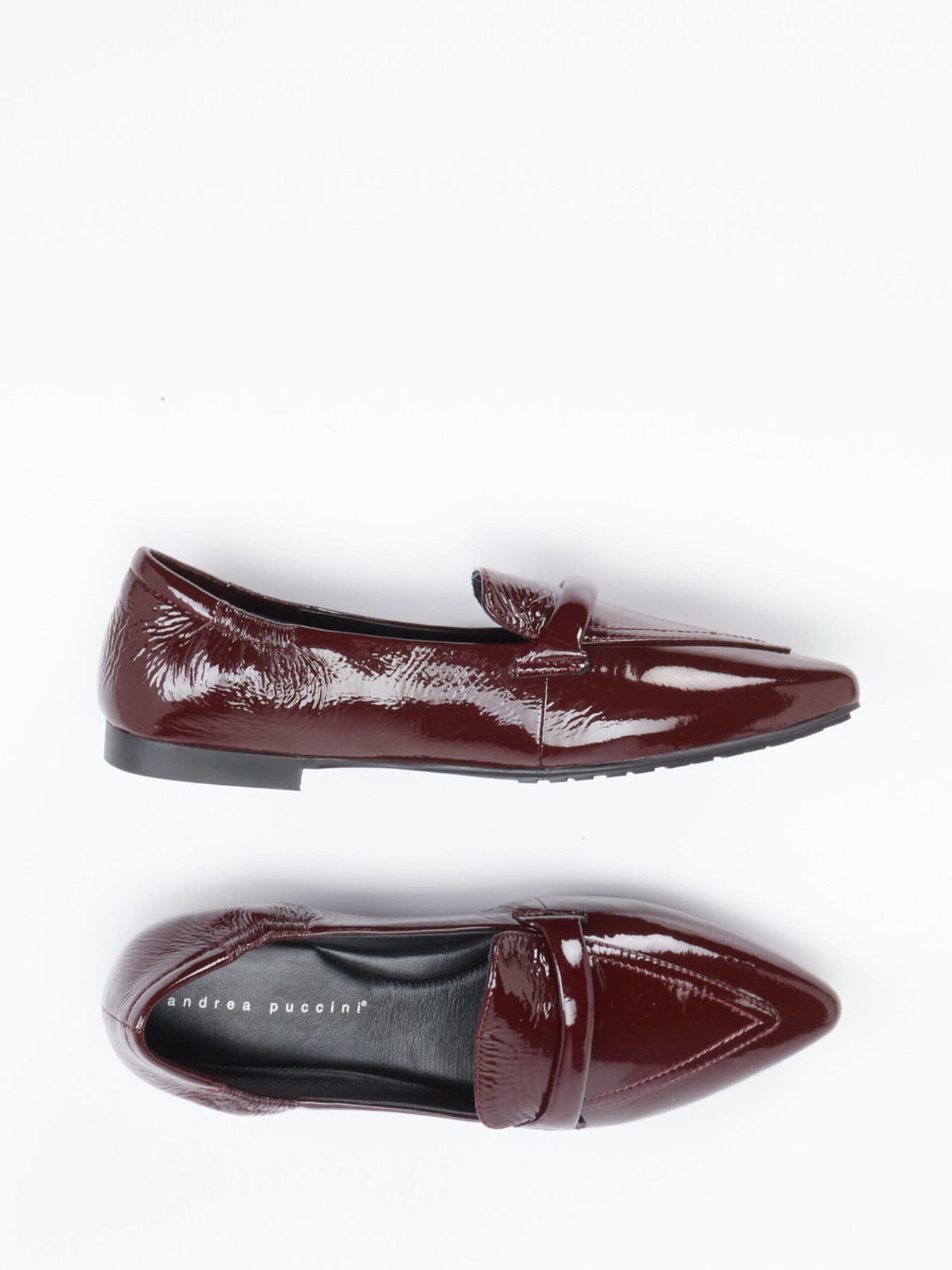 Slipper rot 1511509003604