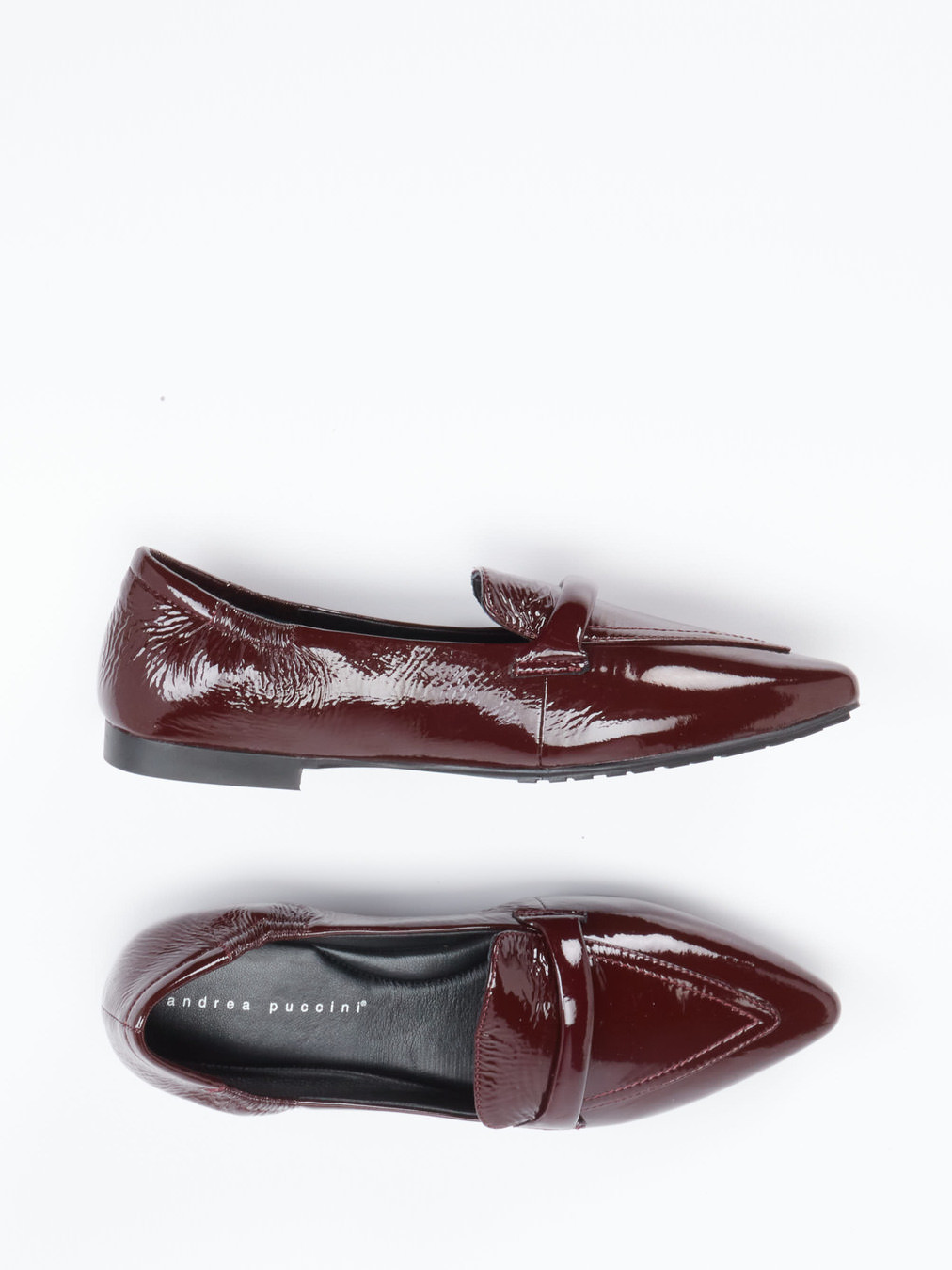 Slipper rot 1511509003604