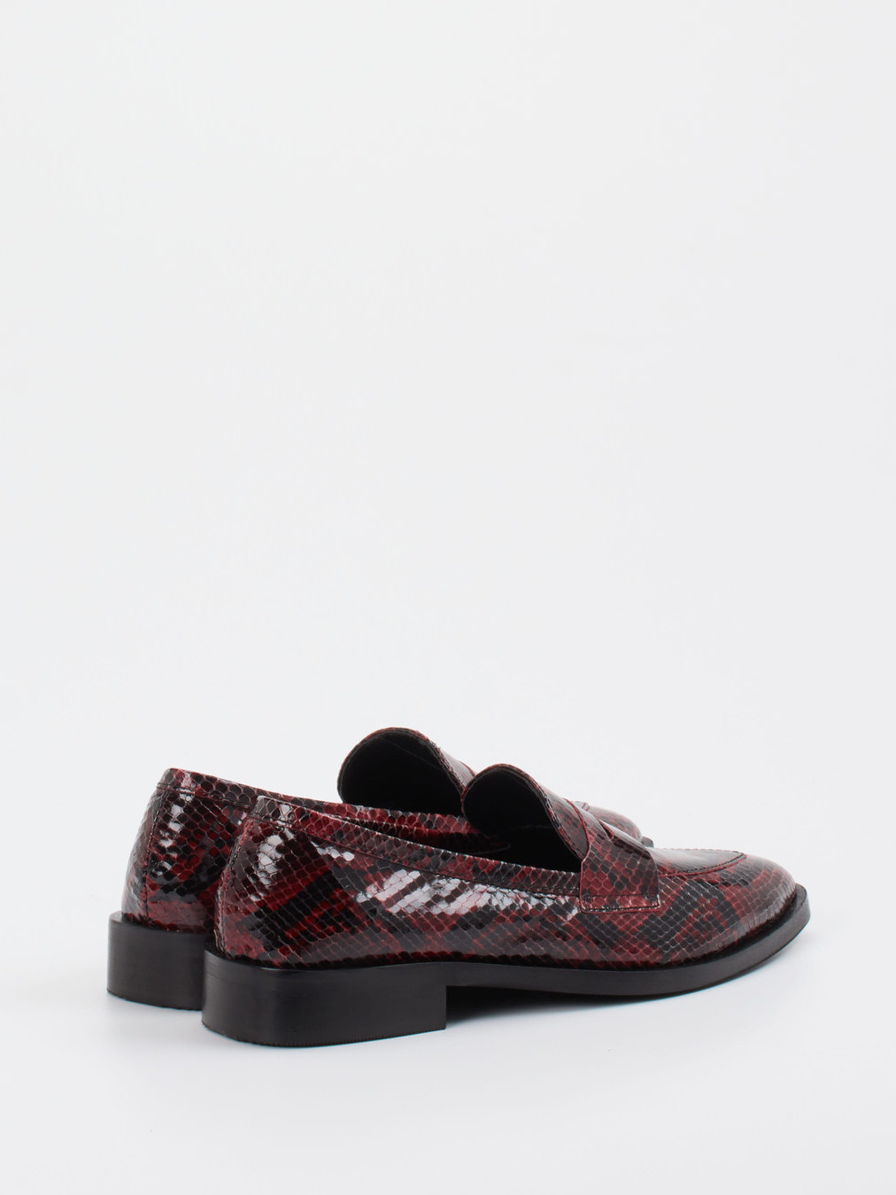 Slipper rot 1511500000503