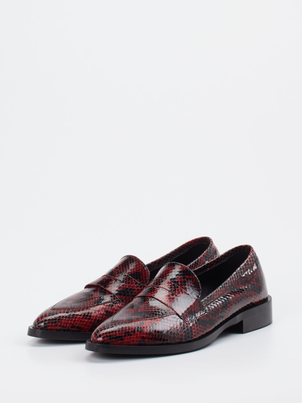 Slipper rot 1511500000502