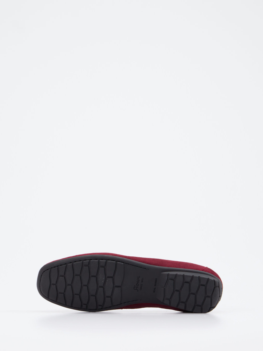 Slipper rot 2551509000205