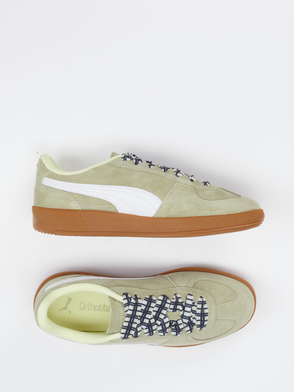 Sneaker Palermo Laces Wns grün 8165629002604
