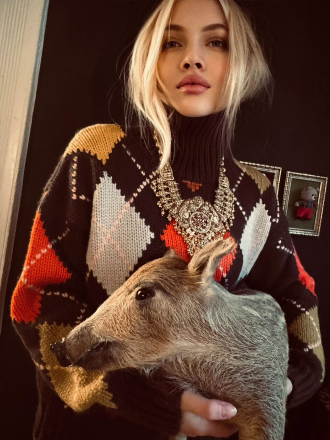 Rollkragen braun 9343205000102