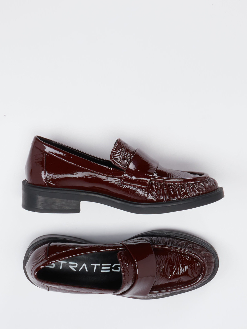 Slipper rot 1513509001404