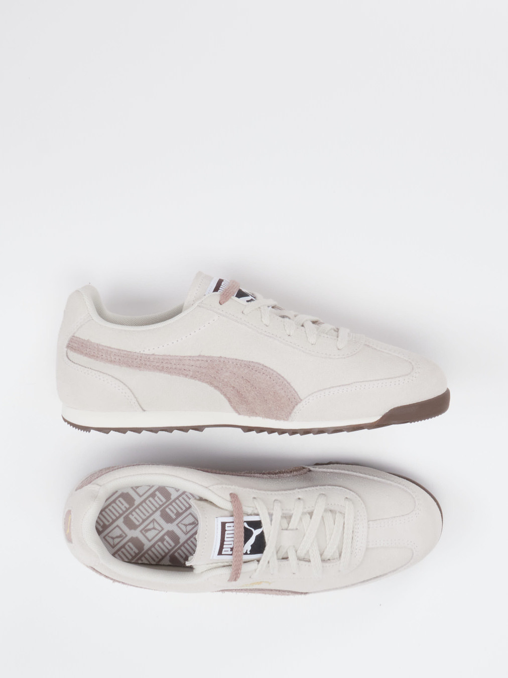 Sneaker Arizona SD beige 8165359013504
