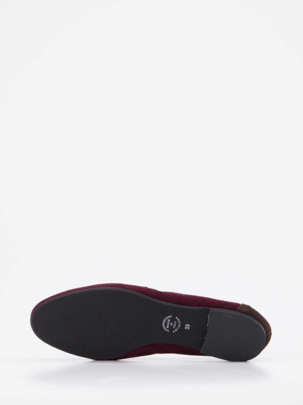 Slipper rot 1511502000105