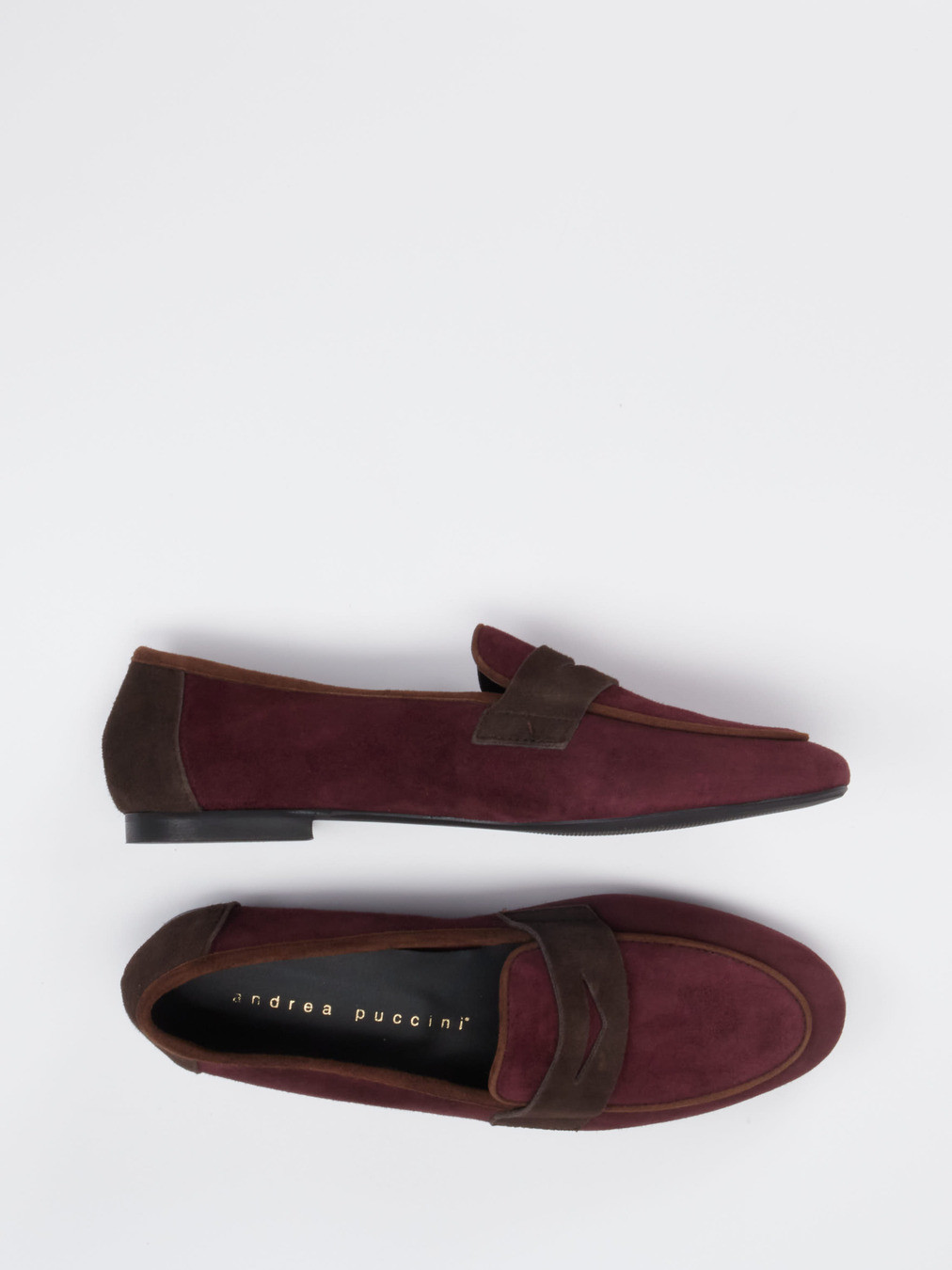 Slipper rot 1511502000104
