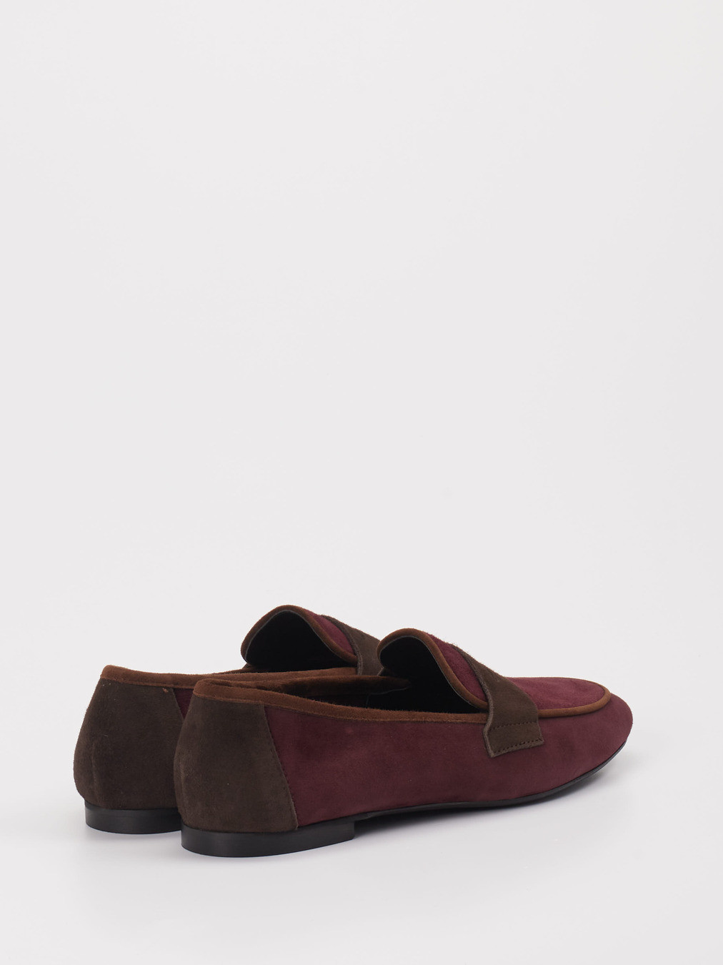 Slipper rot 1511502000103