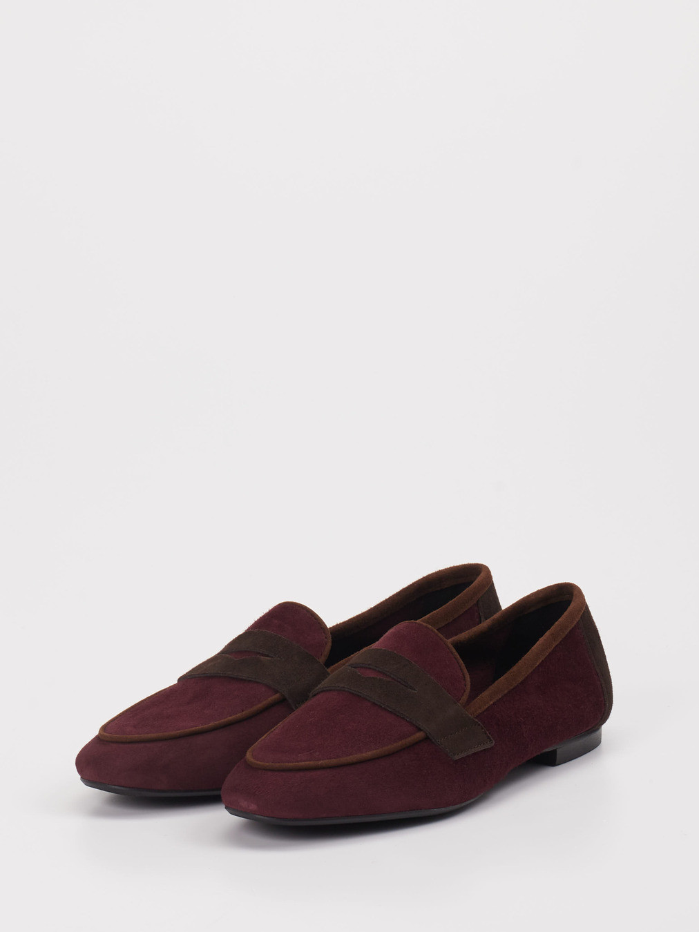 Slipper rot 1511502000102