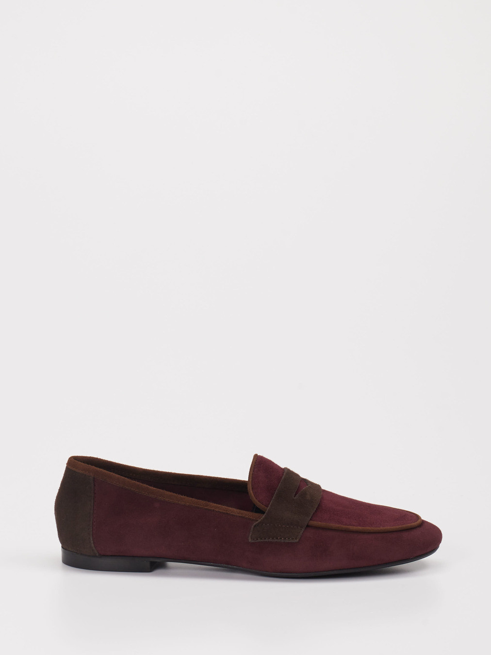 Slipper rot 1511502000101