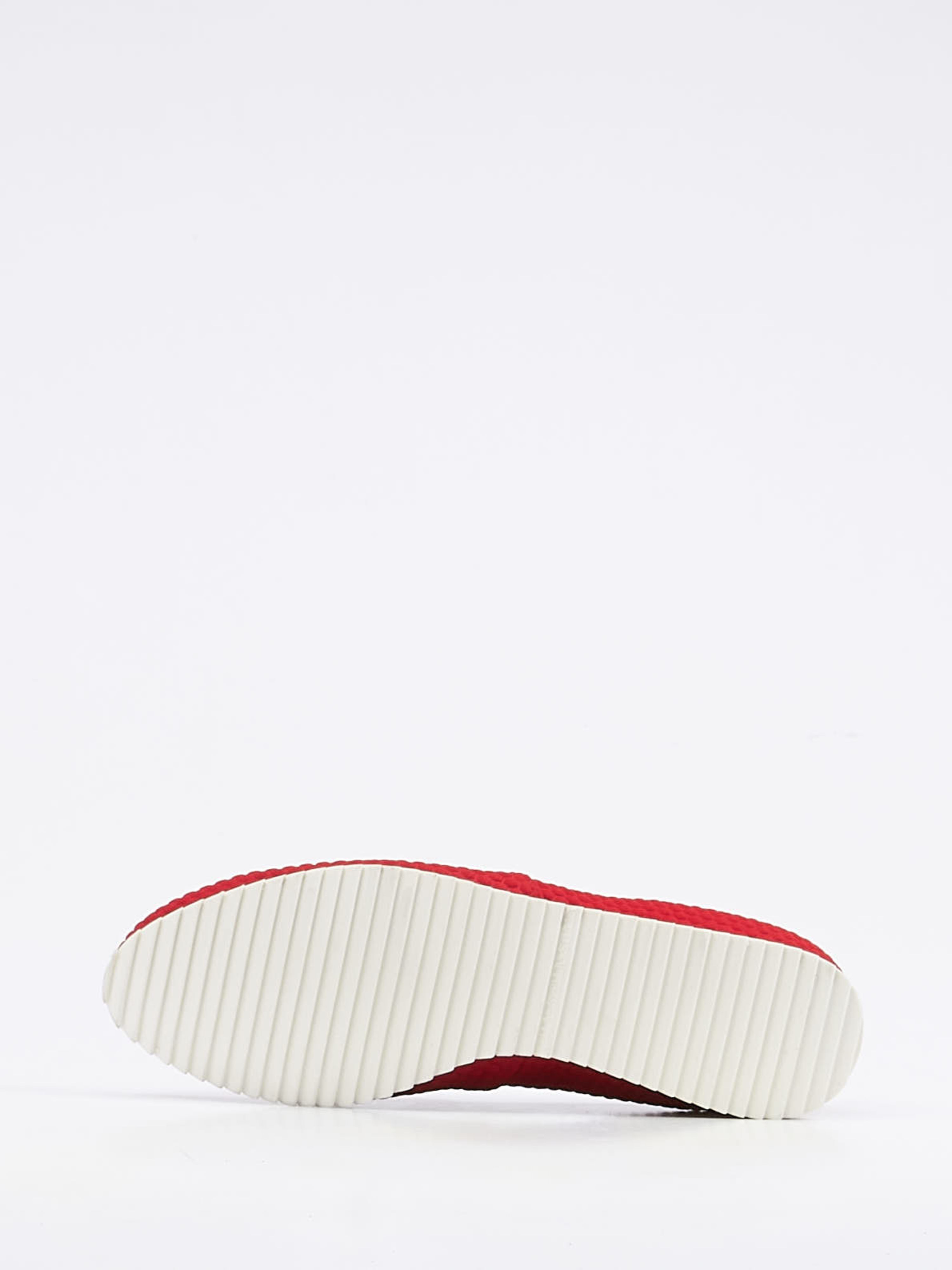 Slipper rot 2561559001805
