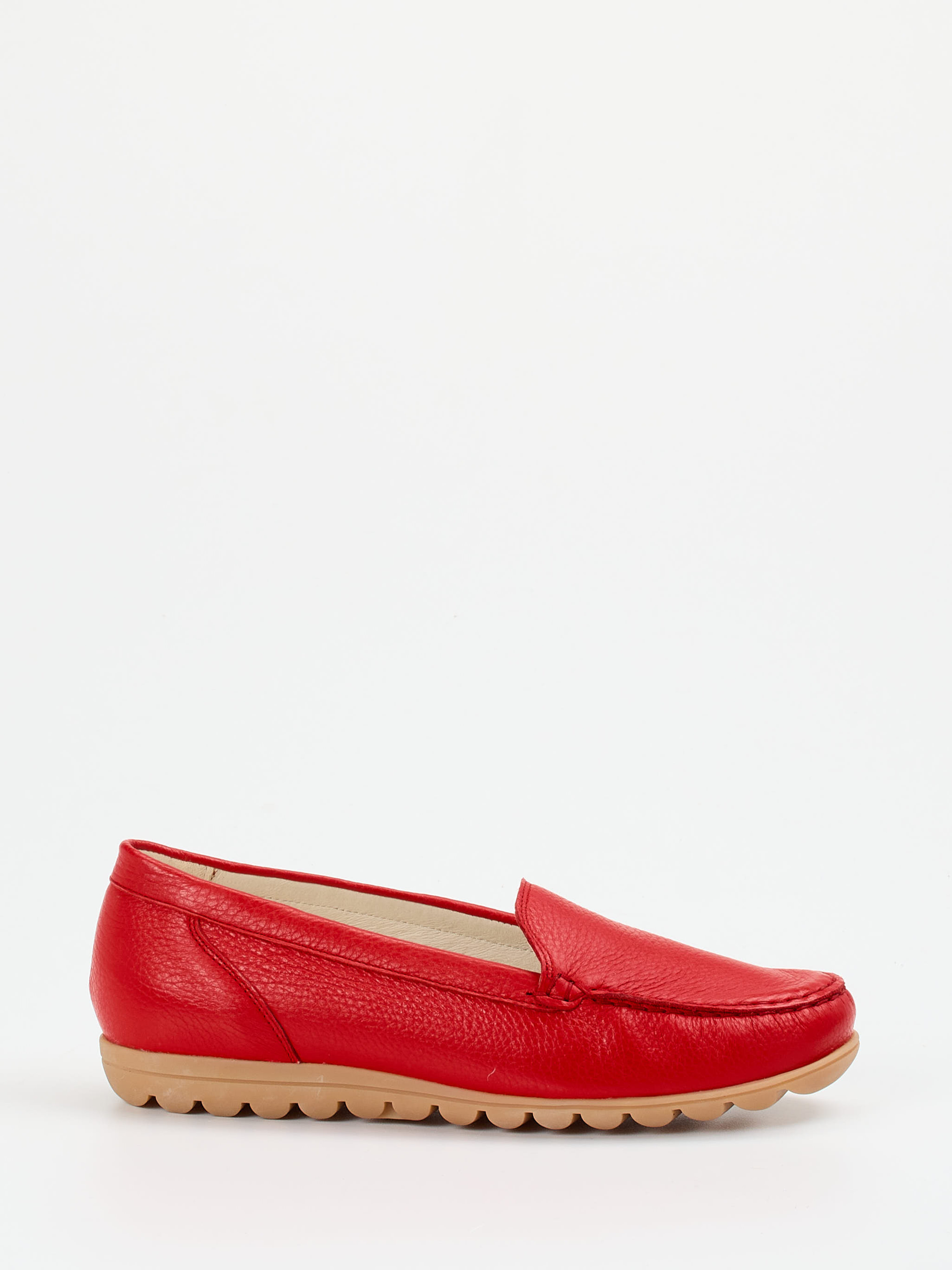 Slipper rot 2561559002001