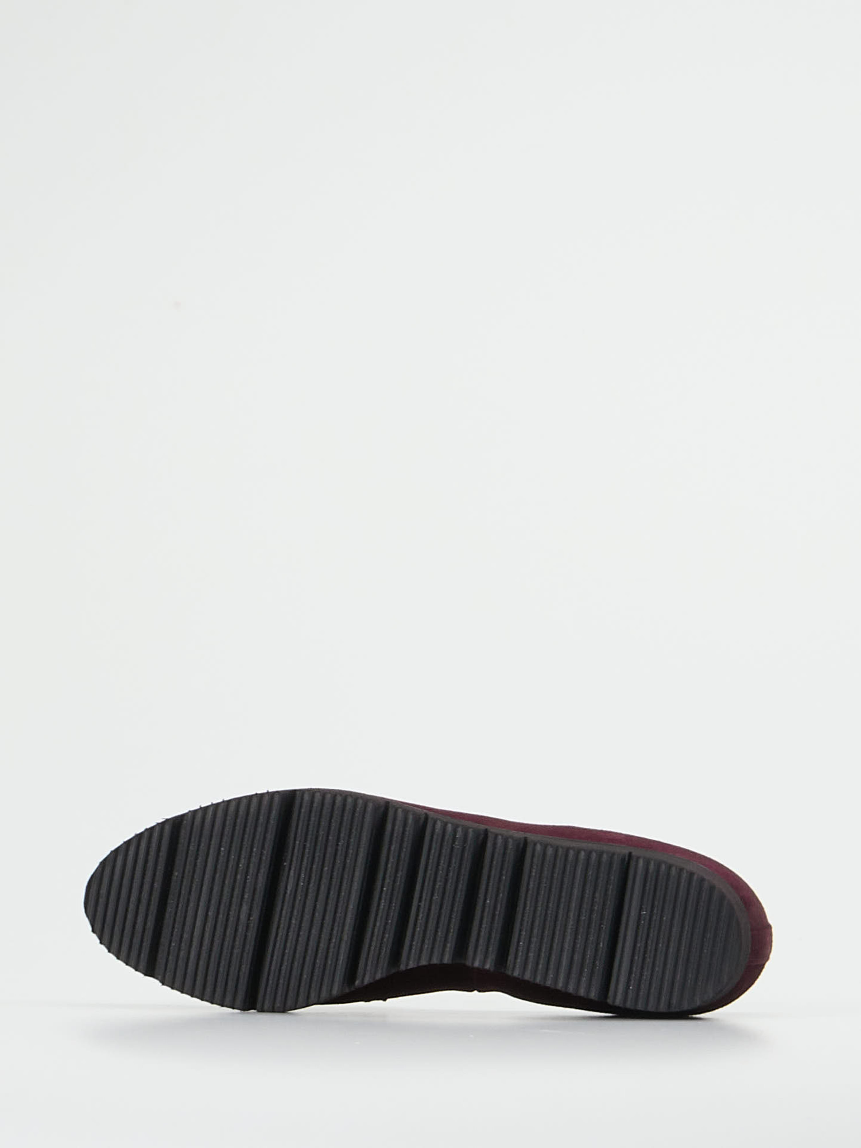 Slipper rot 2561509000805