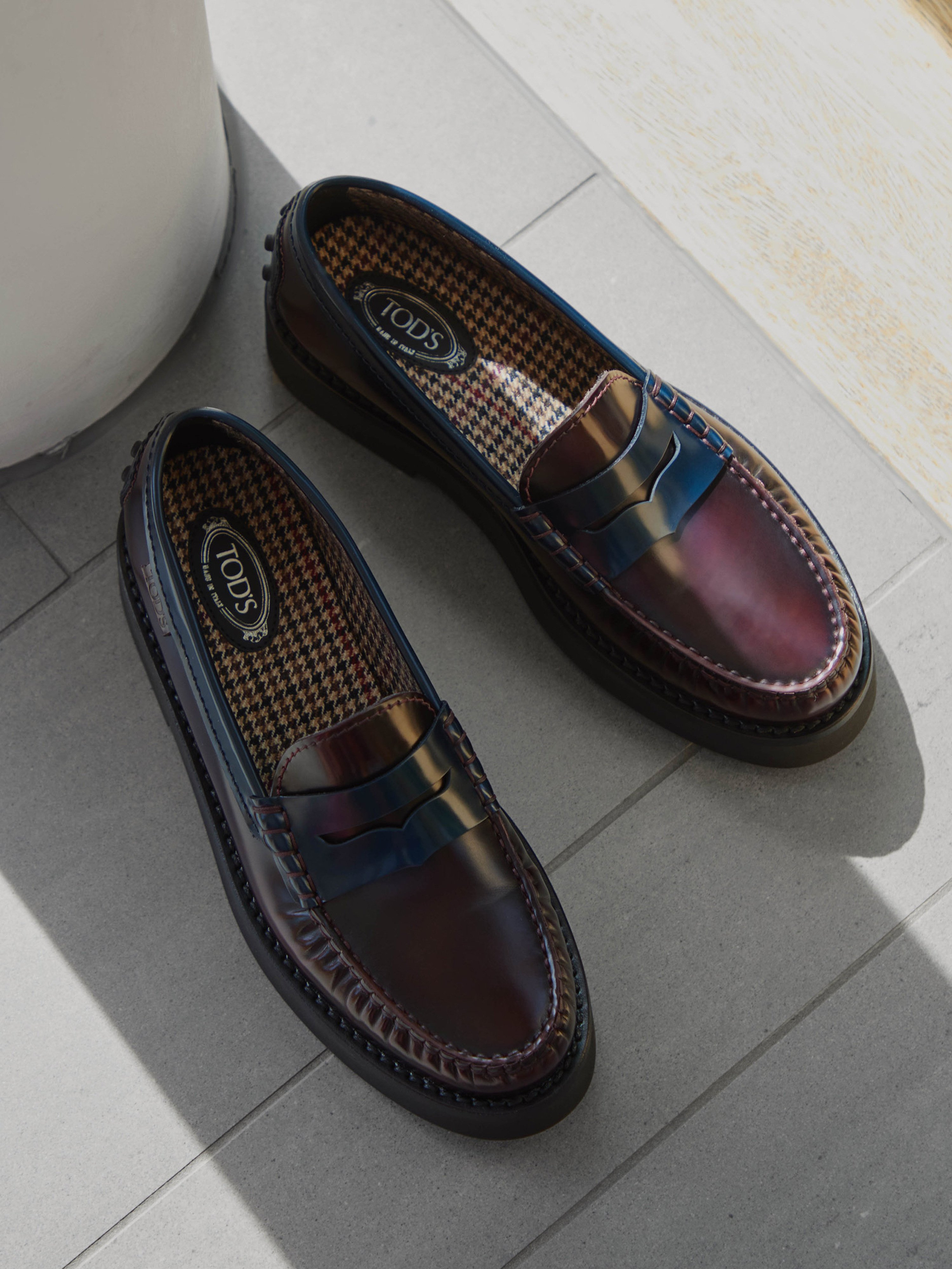Slipper rot 1513509000802